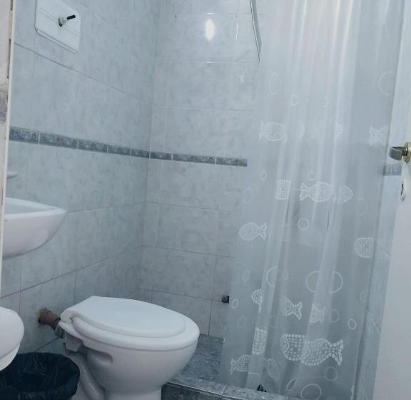 חדר סטנדרט, Black Sheep International Hostel