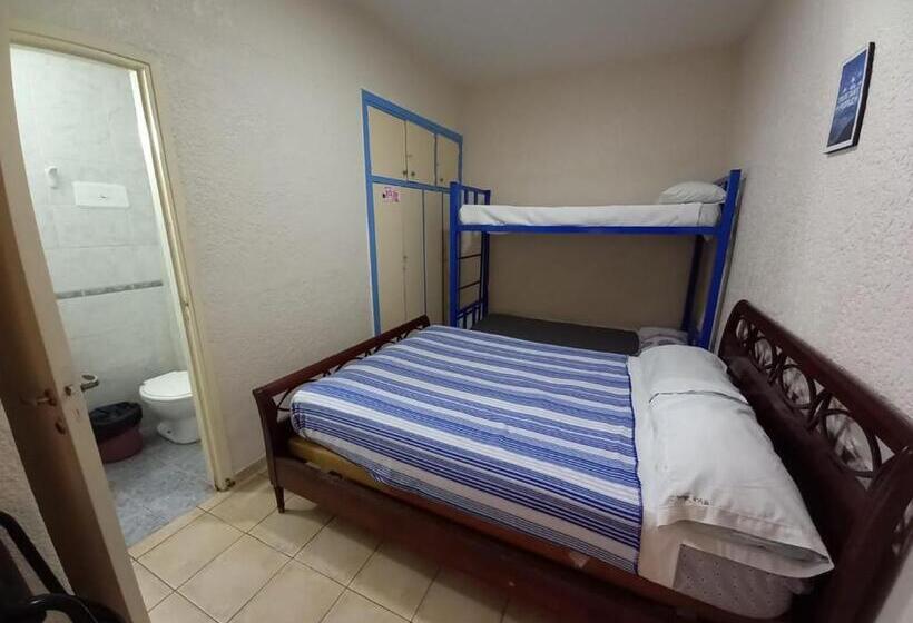 חדר קלאסי לארבעה, Black Sheep International Hostel