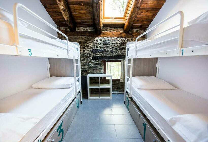 تختخواب در اتاق مشترک, Mountain Hostel Tarter