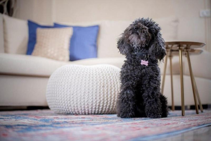 חדר סטנדרט נוף לאגם, B&b Villa Costanza