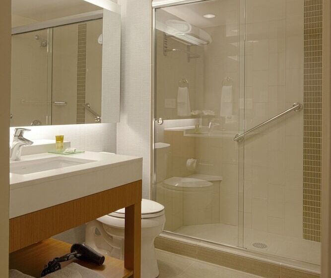 Номер Стандарт Адаптированный для Инвалидов, Hyatt Place Calgary Airport