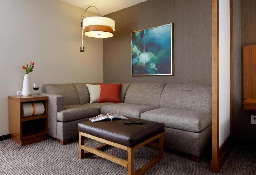 Номер Стандарт Адаптированный для Инвалидов, Hyatt Place Calgary Airport