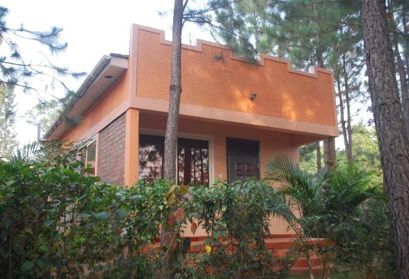 اتاق لوکس با بالکن, Saltek Forest Cottages