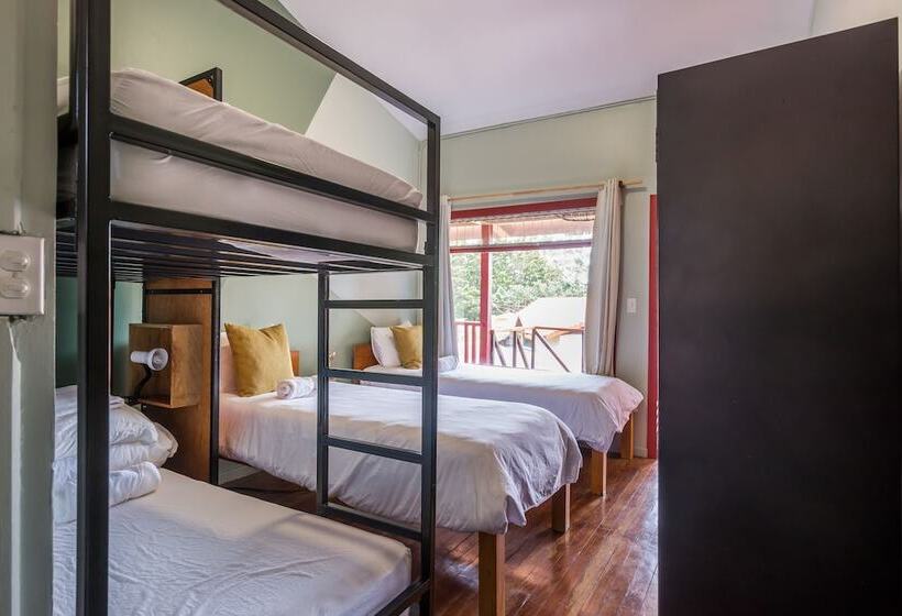 Четырехместный Номер Стандарт, Selina Monteverde