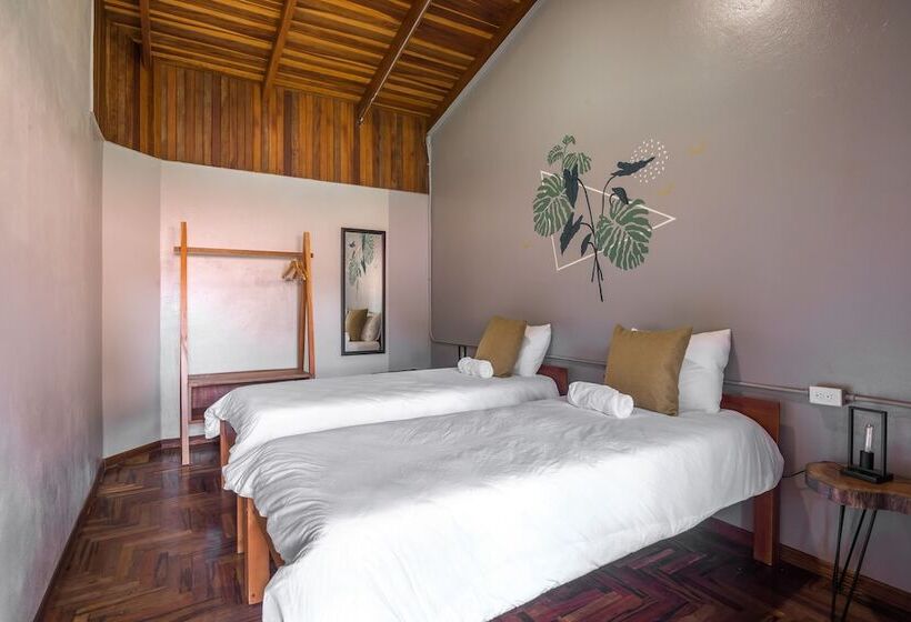 Номер Стандарт, Selina Monteverde