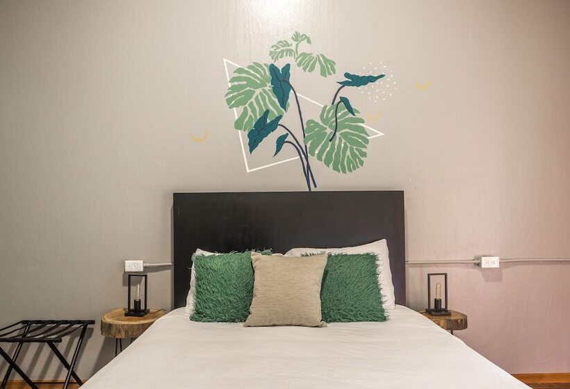 Номер Стандарт, Selina Monteverde