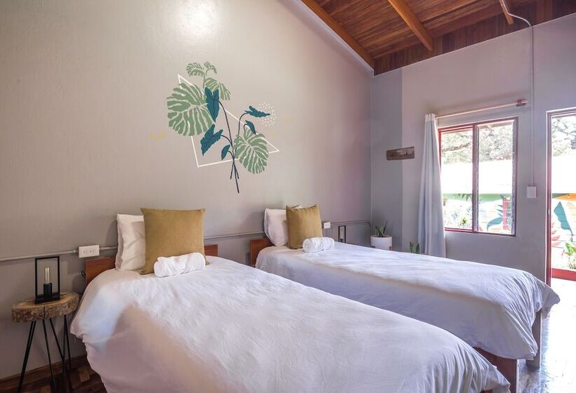 Номер Стандарт, Selina Monteverde