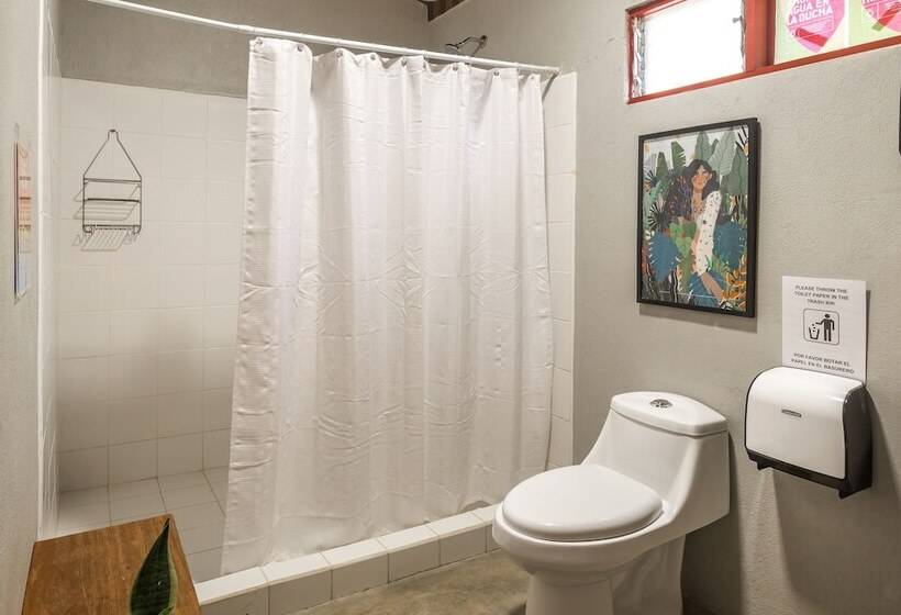 Семейный Номер, Selina Monteverde