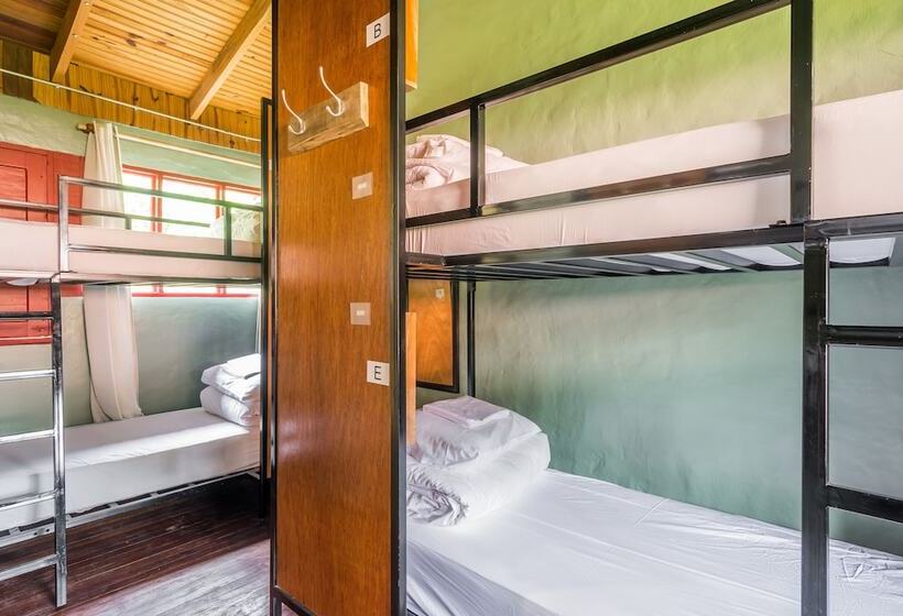 Номер Basic, Selina Monteverde