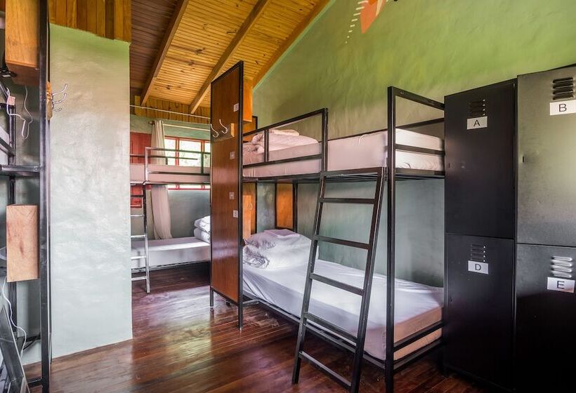 Номер Basic, Selina Monteverde