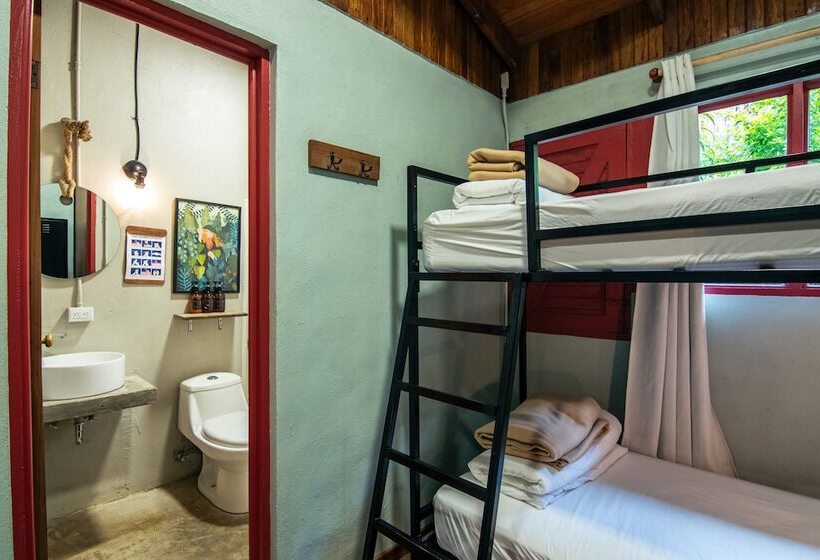 Четырехместный Номер Стандарт, Selina Monteverde