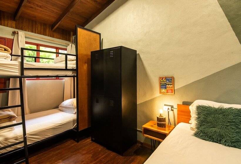 Четырехместный Номер Стандарт, Selina Monteverde