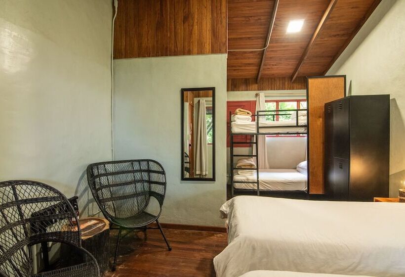 Четырехместный Номер Стандарт, Selina Monteverde