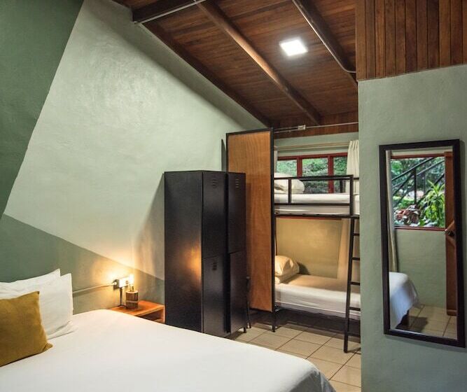 Семейный Номер, Selina Monteverde