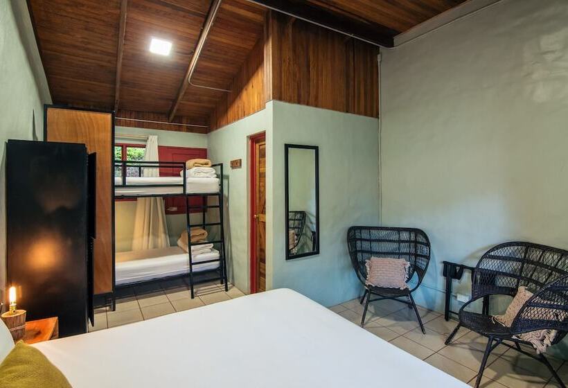 Семейный Номер, Selina Monteverde