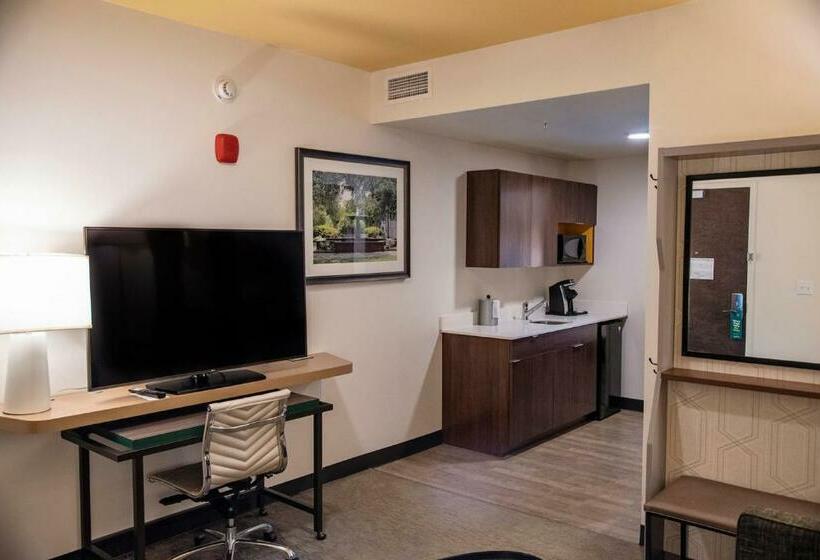 带大床的套房, Holiday Inn & Suites   Savannah Airport   Pooler, An Ihg