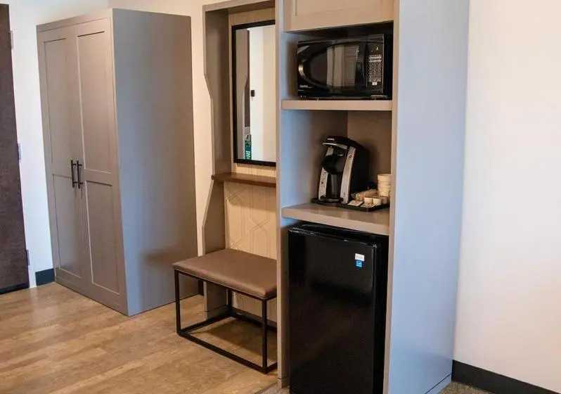 キングサイズベッドのスタンダードルーム, Holiday Inn & Suites   Savannah Airport   Pooler, An Ihg