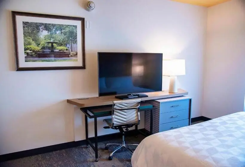 キングサイズベッドのスタンダードルーム, Holiday Inn & Suites   Savannah Airport   Pooler, An Ihg