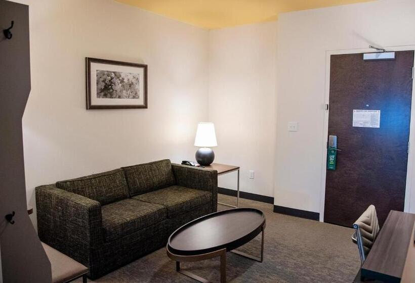 带大床的套房, Holiday Inn & Suites   Savannah Airport   Pooler, An Ihg
