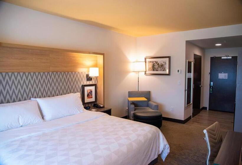 适合残疾人士使用的带超级大床的标准间, Holiday Inn & Suites   Savannah Airport   Pooler, An Ihg