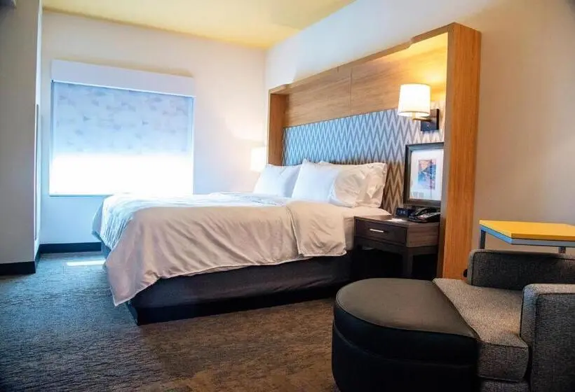 身障者適用キングサイズベッドルーム, Holiday Inn & Suites   Savannah Airport   Pooler, An Ihg