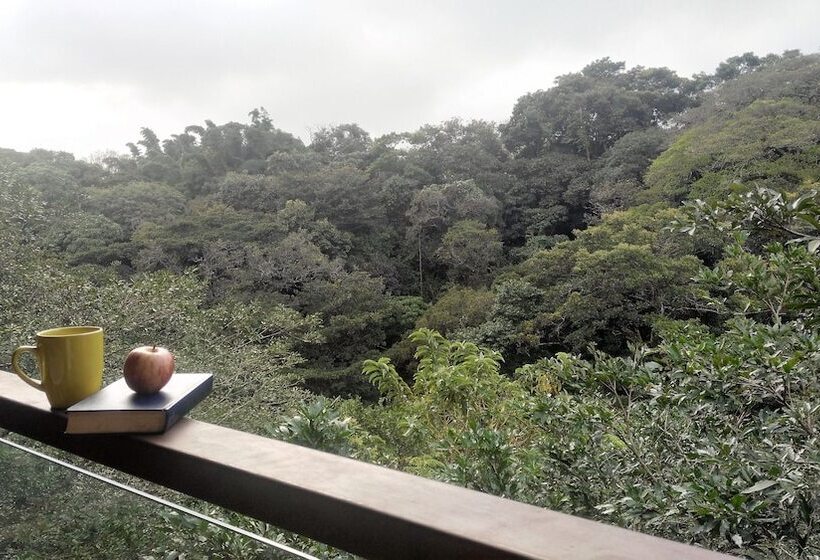 غرفة قياسية رباعية, Pibi Boreal