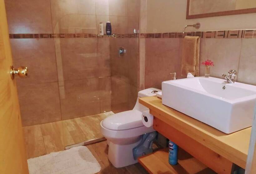 غرفة قياسية رباعية, Pibi Boreal