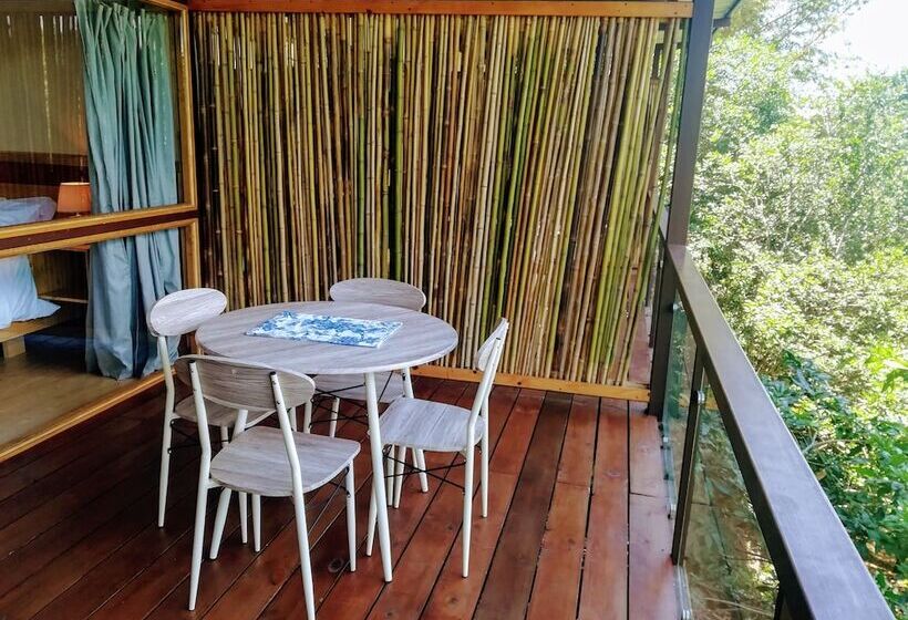 غرفة قياسية رباعية, Pibi Boreal