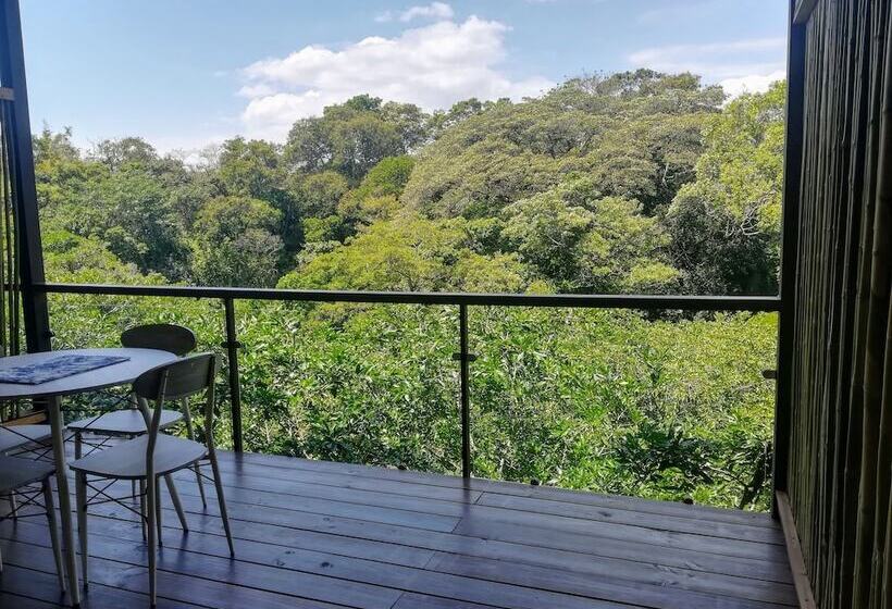 غرفة قياسية رباعية, Pibi Boreal