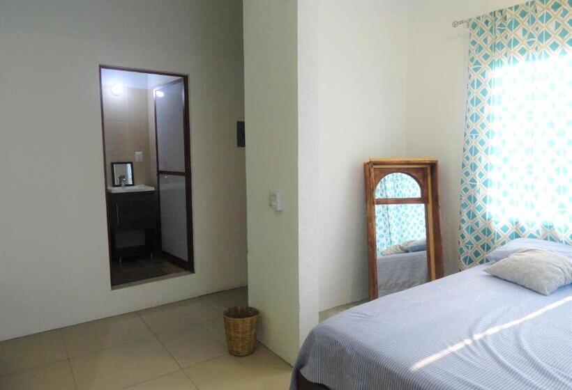 Апартаменты 1 Спальня, Paziflora Hostel