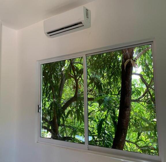 Номер Стандарт, Paziflora Hostel