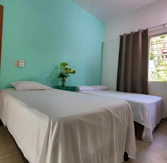 Кровать в Общей Комнате, Paziflora Hostel