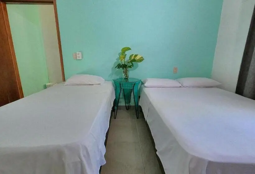 تختخواب در اتاق مشترک, Paziflora Hostel