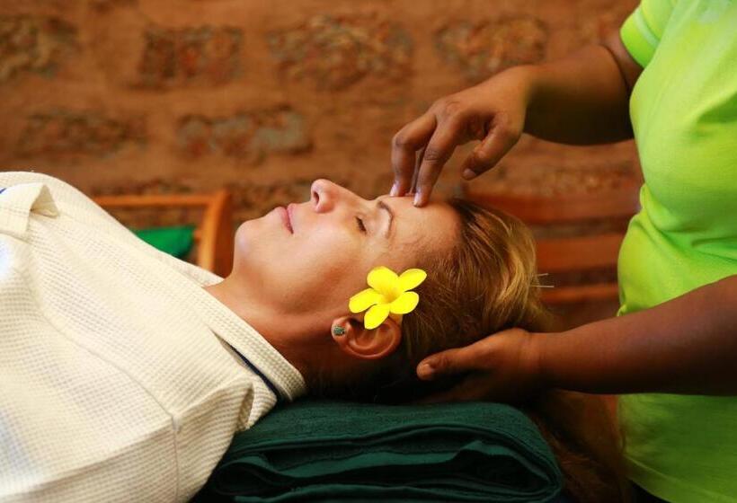 Номер Deluxe, Laluna Eco Resort Pvt Ltd