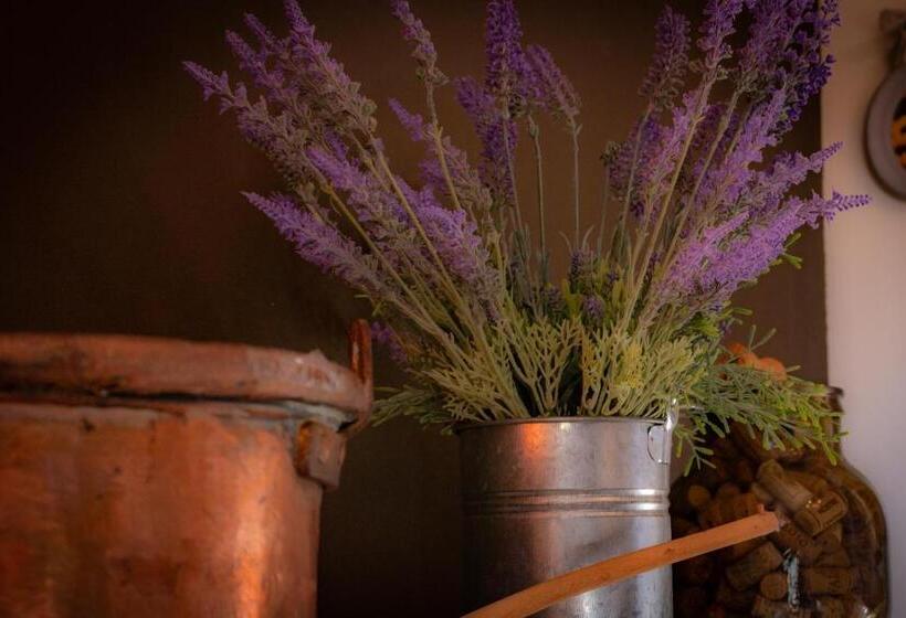 침실 1개 아파트, Agriturismo Le Capannacce Urbania