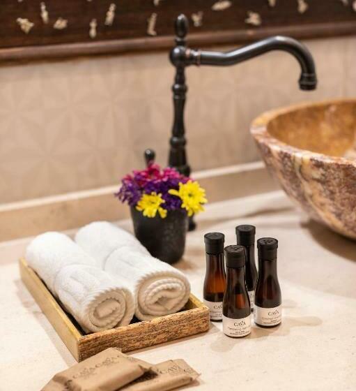 Полулюкс Вид на Сад, Los Camilos