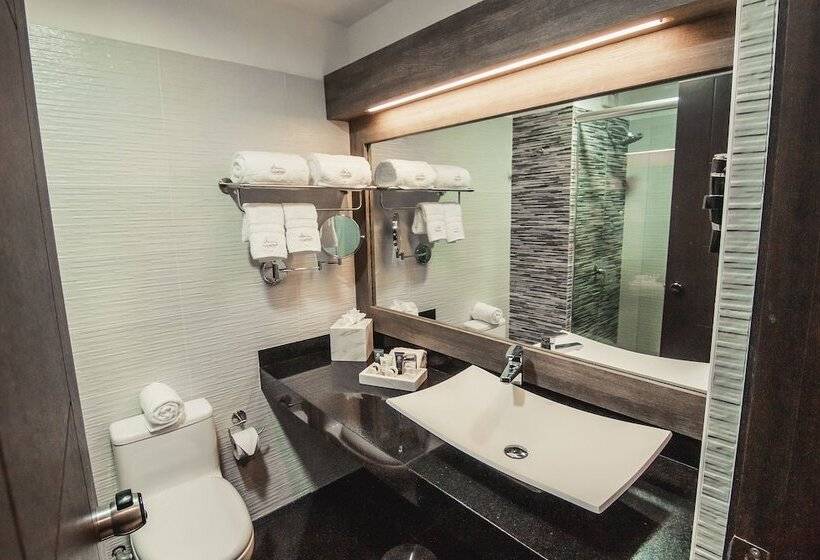 Номер Стандарт, Diamond Lima