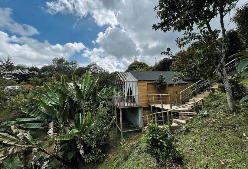 Deluxe Vakantiehuisje, Teva Glamping & Retreat