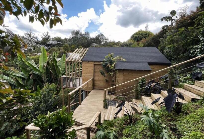 Deluxe Vakantiehuisje, Teva Glamping & Retreat