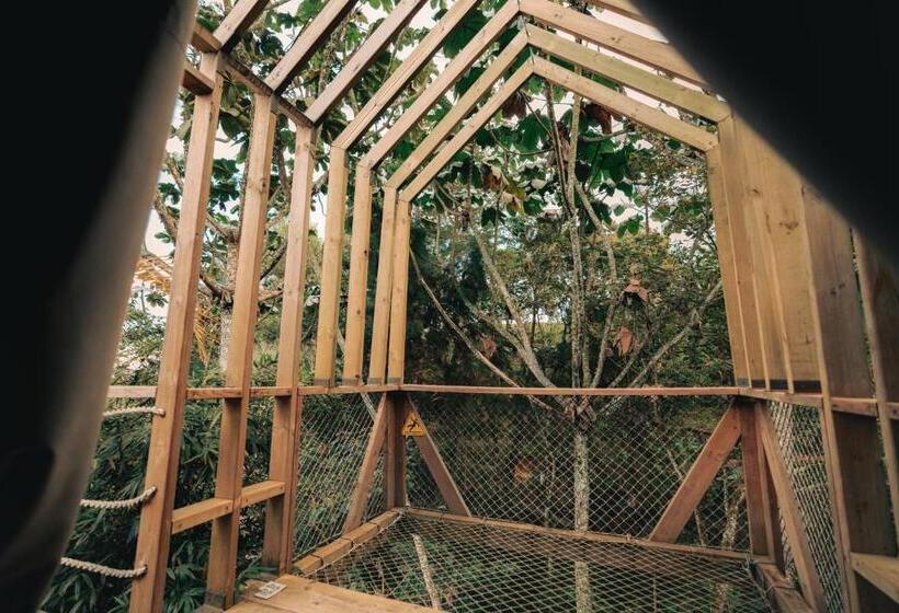 Standaardbungalow, Teva Glamping & Retreat