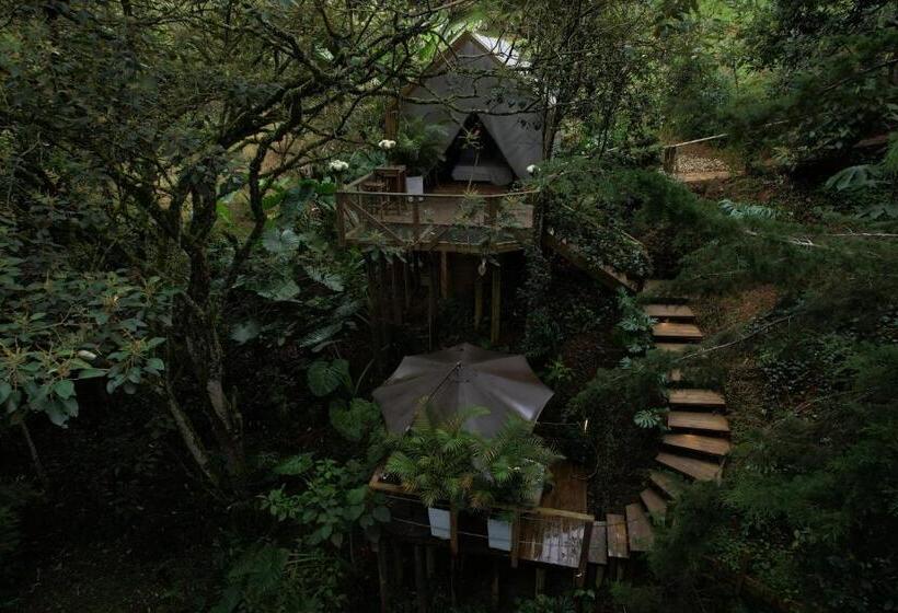 Deluxe Bungalow, Teva Glamping & Retreat