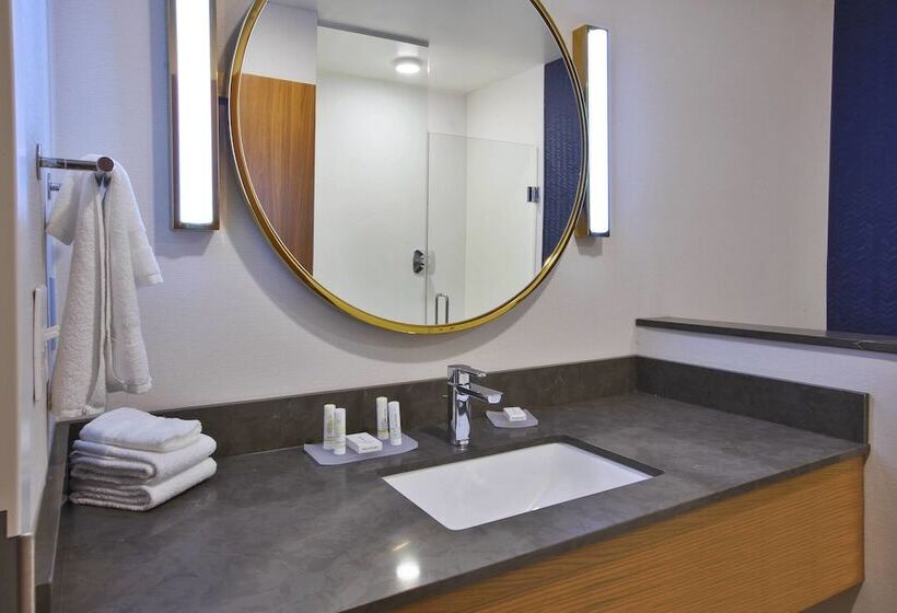 Люкс, Fairfield Inn & Suites By Marriott Flint Grand Blanc
