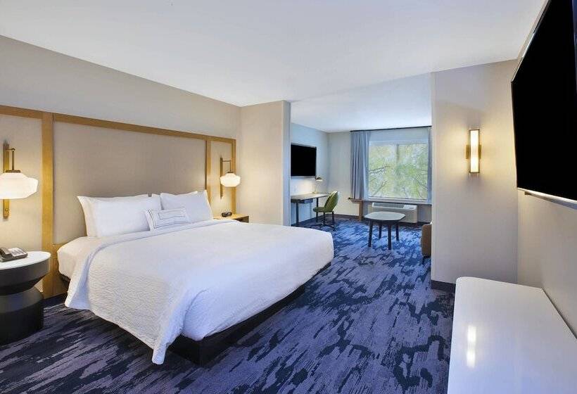 Люкс, Fairfield Inn & Suites By Marriott Flint Grand Blanc