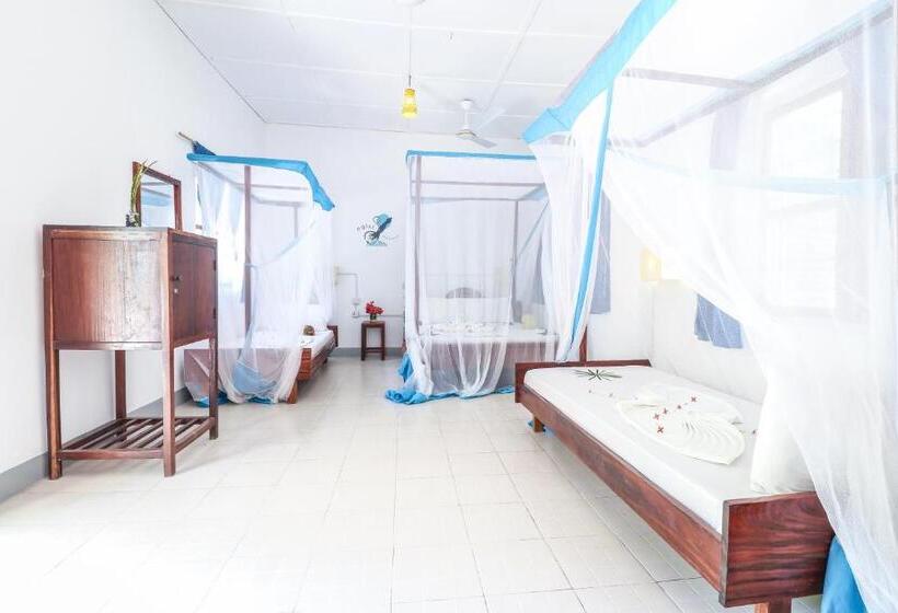 Standard Værelse til 4 pers. med Balkon, New Teddy's On The Beach