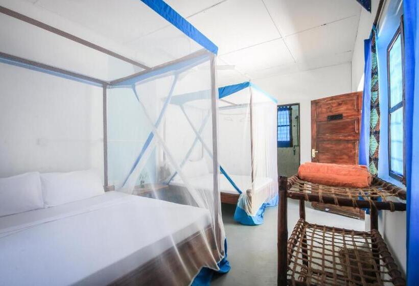 经典四人房间, New Teddy's On The Beach