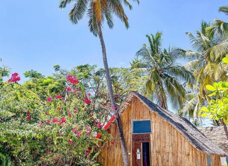 共用房间的床, New Teddy's On The Beach