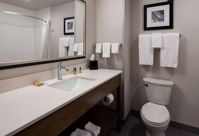 سوئیت برای معلولان, Best Western Plus Rapid City Rushmore
