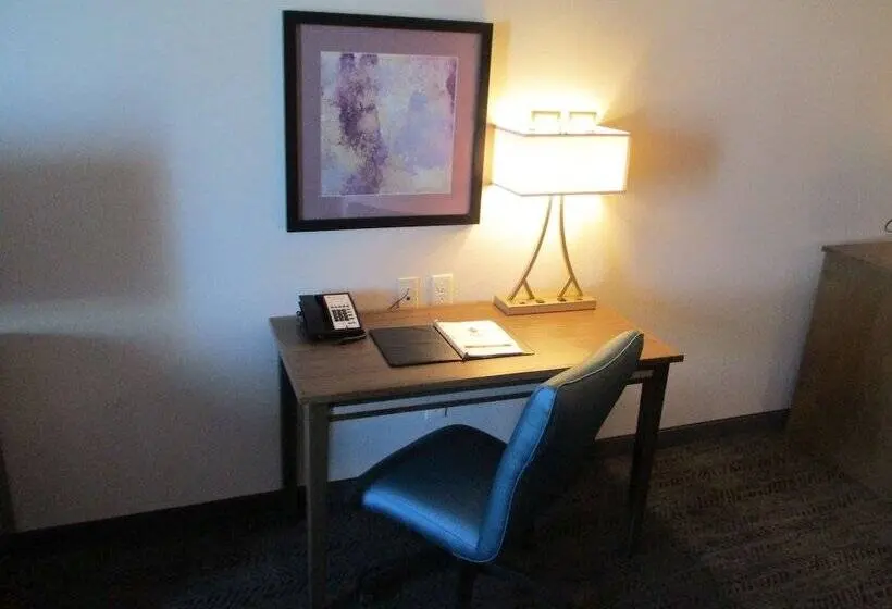 سوییت, Best Western Plus Rapid City Rushmore