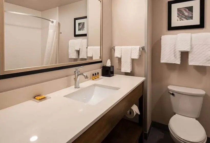 سوییت, Best Western Plus Rapid City Rushmore