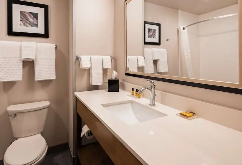 سوییت, Best Western Plus Rapid City Rushmore